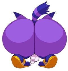 big the cat from sega by titscmyk