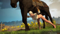 1animal 1girls 3d bestiality cd_projekt_red ciri female_on_feral feral grass horse horsecock larger_feral larger_male looking_at_viewer outdoors size_difference source_filmmaker spread_legs sunflower the_witcher the_witcher_(series) the_witcher_3:_wild_hunt witcherres zoophilia