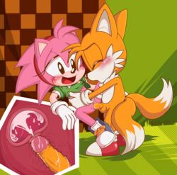 1boy 1boy1girl 1girls 2_tails absurd_res amy_rose animal_ears anthro anthro_on_anthro anthro_only anthro_penetrated anthro_penetrating anthro_penetrating_anthro apinkgrape arm arms balls blush bodily_fluids breasts canid canine classic_amy_rose classic_tails clitoris closed_eyes clothing creampie cub cum cum_in_pussy cum_in_uterus cum_inside cumming dress ear eulipotyphlan female female_penetrated flat_chest footwear fox fur furry furry_female furry_male furry_only genital_fluids genitals glans gloves green_clothing green_hill_zone green_shirt hairband hairgrape half-closed_eyes hand hands handwear headband hedgehog hi_res holding hugging internal interspecies leg leg_lift leg_up legs male male/female male_cub male_penetrating male_penetrating_female mammal miles_tails_prower mobian_(species) mostly_nude multi_tail multicolored_body multicolored_clothing multicolored_footwear multicolored_fur multicolored_tail nipple open_mouth orange_balls orange_body orange_ears orange_fur orange_penis orange_tail penetration penile penile_penetration penis pink_body pink_ears pink_fur pink_glans pink_hair pussy red_clothing red_footwear red_tongue sega sex shirt shirt_lift shirt_up shoes smile smiling sonic_(series) sonic_cd sonic_the_hedgehog_(series) spread_legs straight tail tongue topwear two_tone_body two_tone_fur two_tone_tail uterus vaginal_penetration white_body white_clothing white_footwear white_fur white_gloves white_hair white_tail x-ray yellow_fur yellow_hair young younger_male