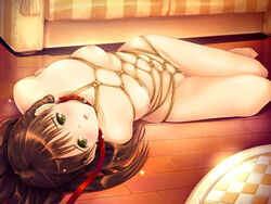 ai_no_katachi arms_behind_back blush bondage breasts brown_hair censored collar feet female floor game_cg green_eyes leash long_hair lying morishita_mayu nipples nude open_mouth pussy rope shiera slave solo uni8 yellow_eyes