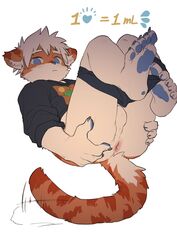 anthro anus ass balls black_clothing black_hoodie black_topwear blue_eyes blue_nose clothed clothing domestic_cat ear_tuft felid feline felis fur genitals hair hi_res hkl hkl9917462 hoodie inner_ear_fluff kemono male male_only mammal orange_body orange_fur orange_tail partially_clothed presenting presenting_anus presenting_hindquarters red_body red_fur shy solo spread_butt spreading tan_balls tan_body tan_fur tan_hair topwear tuft underwear