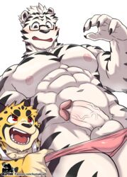 2boys abs anthro bara feline furry furry_only gay kumak71395 male_only no_humans tiger yaoi