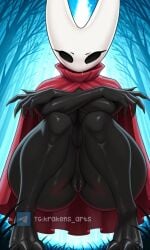 hornet (hollow knight) from hollow knight by krakens arts