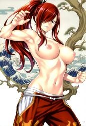 erza scarlet from fairy tail by nordinex5