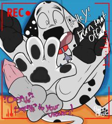101_dalmatian_street 101_dalmatians animal_genitalia animal_penis black_pawpads black_spots canid canine canine_genitalia canine_penis canis claws covering covering_crotch covering_self dalmatian destiny_(101_dalmatians) disney domestic_dog dylan_(101_dalmatians) exhibitionism feet feral foot_fetish foot_focus fully_sheathed fur genitals hi_res looking_at_viewer male mammal multiple_character offscreen_character panicking pawpads paws pawsndogs penis recording sheath solo spots toe_claws triple_d_(101_dalmatians) white_body white_fur