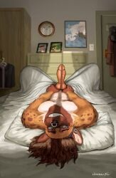 2026 animal_genitalia animal_penis anthro bed bedroom big_penis black_nose blue_eyes brown_hair brown_markings canine_genitalia canine_penis ceruleanfur colored digital_drawing_(artwork) digital_media_(artwork) ear_piercing erection facial_piercing fur furniture genitals hair hi_res holding_own_penis hyena inside knot knotted_penis looking_at_viewer lying male mammal markings medium_hair nose_piercing nose_ring nude on_back on_bed orange_body orange_fur penis piercing pillow pink_penis ring_piercing shaded smile solo spots spotted_body spotted_fur spotted_hyena spotted_markings tan_body tan_fur teeth vein veiny_penis