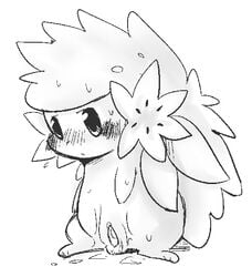 blush cum doneru feral hedgehog male monochrome no_humans pokémon_(species) pokemon pokemon_(species) pokemon_dppt shaymin sketch solo