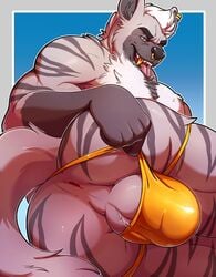 anthro anus ass ball_tuft balls biceps big_butt big_papa_(paradisebear) bodily_fluids bulge chest_tuft clothing digital_media_(artwork) ear_piercing ear_ring facial_piercing fur genitals grey_body grey_fur hair hi_res hyaenid knuxlight looking_at_viewer male male_only mammal mature_male muscular muscular_male nose_piercing nose_ring open_mouth perineum piercing presenting pulling_underwear saliva simple_background solo striped_hyena stripes teeth tongue tuft underwear white_body white_fur white_hair