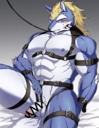 aaassstaro abs anthro blonde_hair blue_body blue_fur blush bondage buckle canid canine canis censored collar digital_media_(artwork) fenrir_(tokyo_afterschool_summoners) flaccid fur furry genitals hair harness leash male male_only mammal muscular muscular_male nipples pecs penis simple_background sitting solo solo_male submissive submissive_male tattoo tokyo_afterschool_summoners video_games wolf