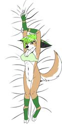 anthro body_pillow bottomless bra canid canine clothed clothing codythefennec dakimakura_design dakimakura_pillow dakimakura_pose female fennec fox furry genitals green_eyes green_pussy hi_res looking_at_viewer mammal pillow pussy rule_63 solo stretching tuft underwear