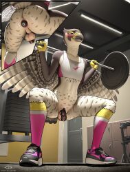 anal anal_sex anthro apex_(apexavian) ass avian balls barbell_squats belly bird blush bodily_fluids bottomless bottomless_male brown_eyes butt_focus buttplug chastity_cage chastity_device clothed clothing codyblue-731 crop_top falcon falconid feathers femboy footwear gay gay_male genital_fluids genitals gym hi_res knee_highs knee_socks leaking_precum legwear looking_pleasured male male/male mostly_nude motion_lines navel penetration penis perineum plug_(sex_toy) precum precum_string sex_toy shirt shoes sneakers socks solo squats sweat sweatdrop topwear vibrating yaoi
