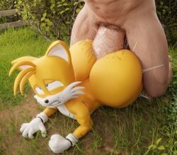 feminine tails from sonic (series) by aidenz
