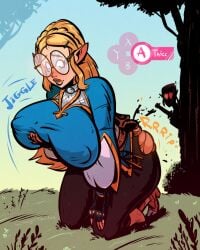 link from breath of the wild by hugotendaz