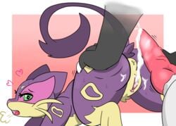 after_sex anthro knot liepard mightyena pokémon_(species) pokemon straight