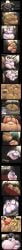 3girls battle bbw big_breasts black_hair bleach blonde_hair boa_hancock breasts chubby chubby_female comic fat fat_arms fat_ass fat_female female female_focus female_only female_wrestler flabby_arms flabby_belly flabby_legs hyper hyper_arms hyper_belly hyper_breasts hyper_butt hyper_thighs konan light_skin naruto naruto_(series) obese obese_female one_piece pierced_belly_button saxxon sequence slamming squashing ssbbw sumo tan_skin tia_harribel tier_harribel vascaloid vore vore_belly wrestling