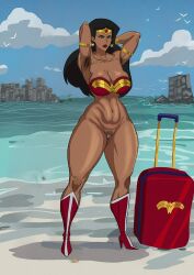 wonder woman from dc by cyberboi