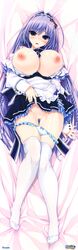 clochette dakimakura kokorone=pendulum! oshiki_hitoshi tatewaki_chihaya