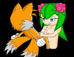 anthro breasts canine cosmo_the_seedrian eye_contact female flower fox fur handjob interspecies looking_at_another male mammal nude penis seedrian sonic_(series) sonic_x straight tagme tails