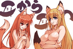 2girls animal_ears blush breast_envy breasts cleavage crossover flat_chest fox_ear hisahiko holo kanokon large_breasts minamoto_chizuru multiple_girls no_nipples nude spice_and_wolf tail tenko_kuugen wagaya_no_oinari-sama wolf_ears