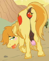 2013 anakuro anal anal_sex anus apple ass balls blush braeburn_(mlp) cutie_mark earth_pony equine erection feral friendship_is_magic fruit fur furry green_eyes hair horse horsecock looking_at_viewer looking_back male male_only multicolored_hair my_little_pony no_humans open_mouth penetration penis pony presenting presenting_hindquarters raised_tail solo tongue tongue_out