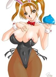 clothing dragon_quest dragon_quest_viii jessica_albert kai_hiroyuki large_breasts pointy_chin slime slime_(dragon_quest)