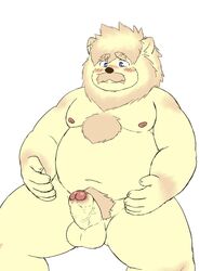 2020 anthro balls bara belly blush felid fur genitals hi_res kemono lion male male_only mammal moobs navel nipples overweight overweight_male pantherine penis reddo12340 simple_background sitting solo white_background white_body white_fur