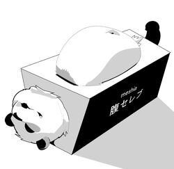 2020 absurd_res anthro bara belly black_body black_fur fur genitals giant_panda hi_res japanese_text kemono male male_only mammal monochrome navel overweight overweight_male penis sigenoya solo takotyutyu text ursid white_body white_fur