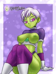cheelai from dragon ball by kameseru