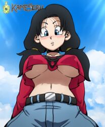 videl from dragon ball by kameseru