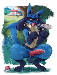 2020 animal_genitalia animal_penis anthro balls blue_body blue_fur bodily_fluids canid canine canine_penis crouching darkluxia detailed_background drooling erection fur genital_fluids genitals hi_res knot lucario male male/male male_only mammal nintendo open_mouth oral penis pokéball pokemon pokemon_(species) precum precum_drip red_eyes saliva saliva_on_penis saliva_on_tongue saliva_string solo_focus tailwag teeth tongue tongue_out video_games