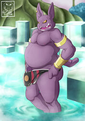 absurd_res angry anthro belly bulge camsan_r_s champa clothing domestic_cat dragon_ball dragon_ball_super felid feline felis flaccid hairless hairless_cat hi_res looking_at_viewer male male/male male_only mammal nipples overweight overweight_male piercing solo sphynx_(cat) swimming_pool swimwear taking_a_bath thong underwear undressing