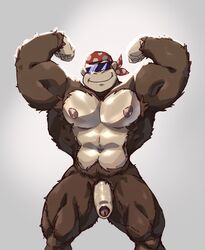 anthro ape bandana bara big_pecs donkey_kong_(series) eyewear flaccid flexing foreskin funky_kong genitals gorilla haplorhine hi_res male male_only mammal monkey muscular muscular_male nintendo nipples pecs penis primate smile solo sunglasses taoren video_games