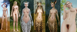 archeage elf female furry tagme