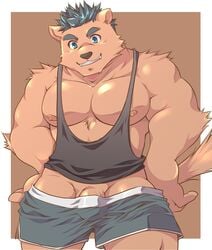 2020 anthro barazoku bottomwear brown_body brown_fur bulge canid canine canis clothing domestic_dog ellie_saionji fur genitals hi_res kemono male male_only mammal moobs nipples penis shirt shorts solo tank_top topwear