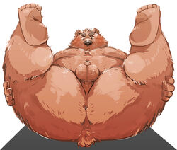 2020 anthro anus arufina_w ass balls belly blush brown_body brown_fur fur genitals humanoid_hands kemono male male_only mammal overweight overweight_male penis simple_background small_penis solo ursid