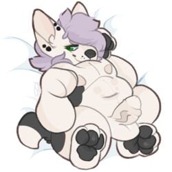 1:1 anthro balls belly big_belly big_ears bull_terrier canid canine canis chubby_cheeks chubby_male clementine dakimakura_design dakimakura_pose domestic_dog ear_piercing ear_stud ears_up foot_focus genitals green_eyes grey_nose grey_pawpads grey_spots hair hunting_dog littlemitts looking_aside looking_away male male_only mammal nipples overweight overweight_male pawpads paws penis piercing purple_hair slightly_chubby smile soft solo solo_focus spots terrier thick_tail vein veiny_penis white_body