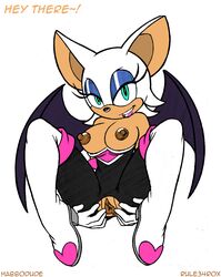 rouge the bat from sega by habbodude
