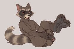 rocket raccoon from guardians of the galaxy by dreiker