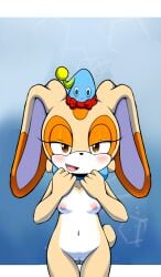 blush cleft_of_venus completely_nude_female cream_the_rabbit cub female_focus furry furry_female hat looking_at_viewer naughty_face navel nipples nude nude_female pussy sega simple_background small_breasts smutjegc sonic_(series) sonic_the_hedgehog_(series) standing upscaled