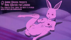 16:9 anthro anus ass beastars bed breasts english_text female furniture gamma_whoosh genitals hare haru_(beastars) hi_res lagomorph leporid looking_at_viewer mammal nipples nude open_mouth presenting presenting_anus presenting_pussy pubes pussy rabbit solo spread_legs spreading text url widescreen