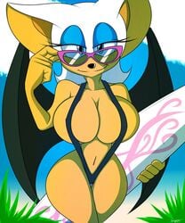 1girls adjusting_eyewear adjusting_glasses adjusting_sunglasses bat bat_wings big_breasts bikini blue_eyes blue_eyeshadow cleavage curvy huge_breasts large_breasts looking_over_eyewear looking_over_glasses looking_over_sunglasses naughty_face navel pinup rouge_the_bat sling_bikini solo solo_female sonic_(series) sunglasses superix supersonicrulaa surfboard swimsuit tan thick_thighs tinted_eyewear voluptuous white_fur white_hair wide_hips wings