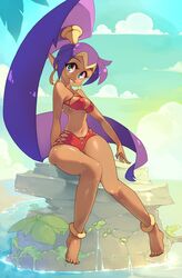 alternate_costume alternate_version_available anklet bare_shoulders beach big_eyes bikini blue_sky brown_skin clouds cyan_background djinn feet female female_only high_ponytail hoop_earrings knees_together knees_together_feet_apart long_hair long_ponytail navel_line ocean palm_tree pointy_ears purple_hair red_bikini red_swimsuit rock rtil sea shantae shantae_(character) shiny_hair shiny_skin sky smile smooth_skin solo stone stylized_swimsuit sunlight sunshine swimsuit tanned thick_thighs thigh_gap thin_waist toe_scrunch toes wasp_waist water wayforward wet_skin wide_hips