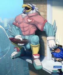 abs accipitrid accipitriform anthro avian balls bara big_balls big_penis bird bodily_fluids bottomless city clothed clothing cum cumshot duo eagle ejaculation erection eulipotyphlan genital_fluids genitals hedgehog hi_res male male_only mammal masturbation muscular muscular_male outside penile penile_masturbation penis public_masturbation sega soar_the_eagle sonic_(series) sonic_boom sonic_the_hedgehog sonic_the_hedgehog_(series) tight_clothing todex