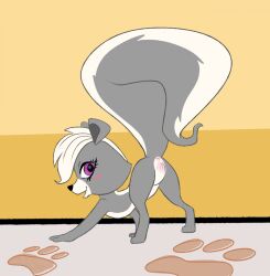 2023 anus ass ass_up blush body_blush female feral fur genitals grey_body grey_fur hair hasbro hi_res littlest_pet_shop littlest_pet_shop_(2012) mammal mephitid open_mouth p.v.su pepper_clark presenting presenting_anus presenting_hindquarters presenting_pussy purple_eyes pussy pussy_blush raised_tail skunk solo tail white_hair