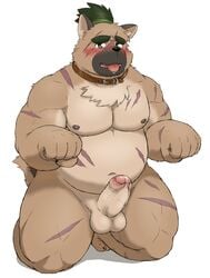 2020 absurd_res anthro balls belly blush canid canine canis domestic_dog erection genitals hi_res humanoid_genitalia humanoid_hands humanoid_penis kemono male male_only mammal moobs nipples overweight overweight_male penis reddo12340 simple_background solo tokyo_afterschool_summoners tongue tongue_out video_games white_background yasuyori