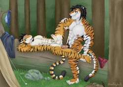 abs anal anal_sex anthro armpit_hair body_hair camping duo ez father father_and_child father_and_son felid hi_res incest male male/male mammal muscular nipples outside pantherine parent parent_and_child pecs penetration piercing sex son tiger yaoi