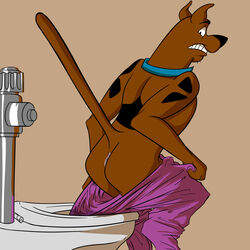 1:1 absurd_res anthro anus ass assisted_exposure bob-jiggles bottomwear canid canine canis cartoon_network clothed clothing collar domestic_dog erect_tail flushed great_dane hanna-barbera hi_res male male_only mammal mastiff molosser pantsing partially_clothed purple_bottomwear purple_clothing purple_pants scooby-doo scooby-doo_(character) solo toilet trousers wardrobe_malfunction warner_brothers what zero_pictured