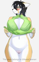 absurd_res anthro big_breasts black_hair blush bottomless breasts cali_(nastycalamari) canid canine cleavage clothed clothing clothing_lift crossgender dress dress_lift embarrassed english_text female flashing fur furry furry_only genitals green_eyes hair hi_res kemono koncon mammal mtf_crossgender navel no_underwear presenting presenting_pussy pussy rule_63 simple_background solo solo_female text thick_thighs topwear white_background