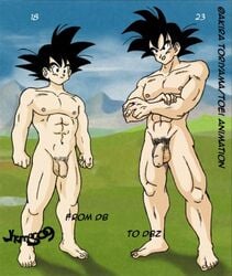 dragon_ball dragon_ball_z jhemos male male_only nude saiyan son_goku standing straight_hair tagme