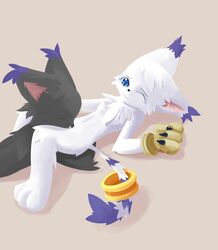 black_fur blackgatomon color cunnilingus digimon female fur furry gatomon interspecies oral white_fur